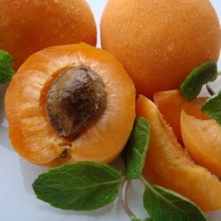 Apricot Fruit Leather