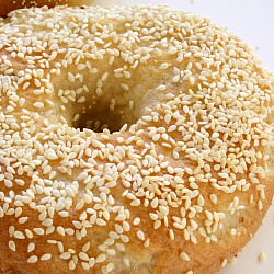 New York Style Bagels