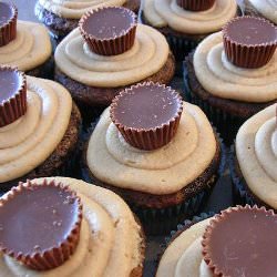 Chocolate Peanut Butter Cupcakes