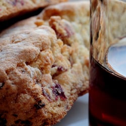 Cranberry Biscotti
