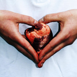 Lambs’ Hearts