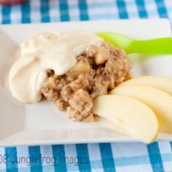 Apple Cinnamon Baked Oatmeal