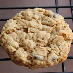 Peanut Butter Oatmeal Cookies
