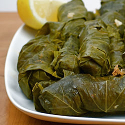 Syrian Grape Leaves