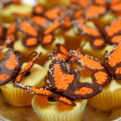 Monarch Butterfly Cupcakes
