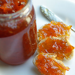 Homemade Kumquat Vanilla Marmalade