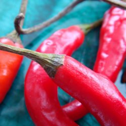 Thai Chili Peppers