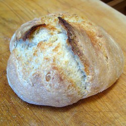 5 Minute Artisan Bread