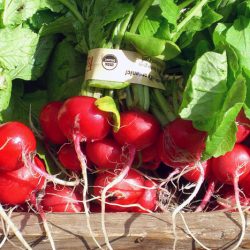Northwest Fresh: April 2009