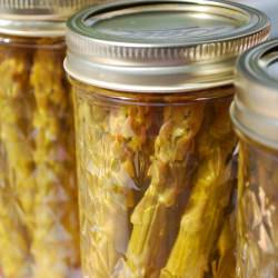 Pickled Asparagus