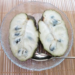 Cherimoya
