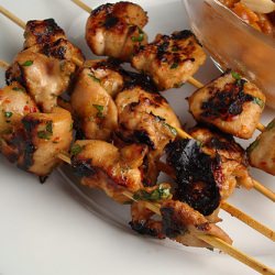 Chicken Satay Skewers