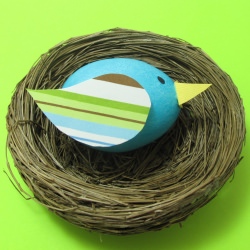 Bluebird Egg