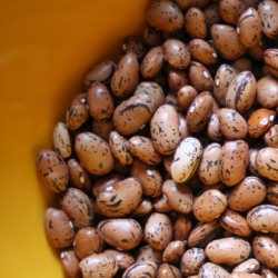 Venetian Bean Soup