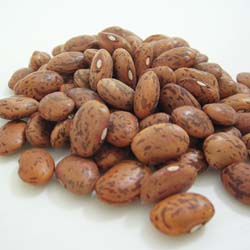 The Goodness of Pinto Beans