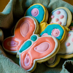 Butterfly Sugar Cookies