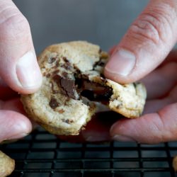 Chocolate Chunk Cookies