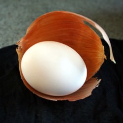 Egg in Onion Skin