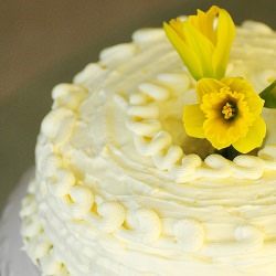 Lemon-Cream Dessert Cake