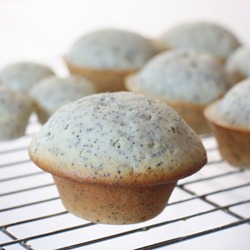 Lemon Poppy Seed Muffins