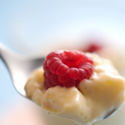 Vanilla Custard Cream