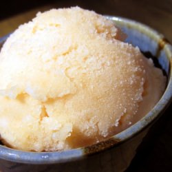 Cantaloupe Sorbet