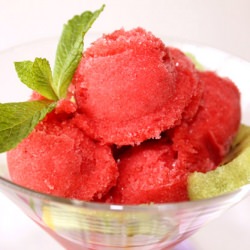 Fresh Strawberry Sorbet