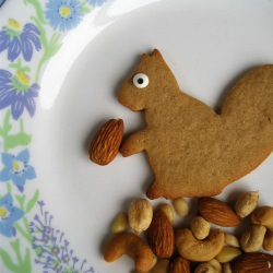 Rabid Squirrel Cookie