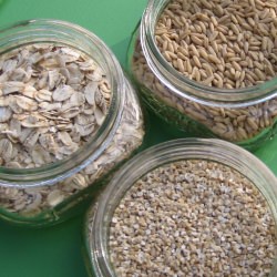 One Grain at a Time–Oats