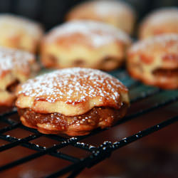 Fig & Walnut Newtons