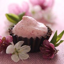 Strawberries & Chocolate