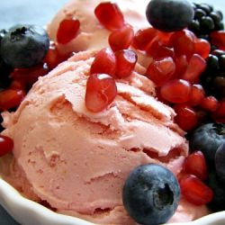 Pomegranate Frozen Yogurt