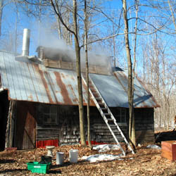 Sugar Shack