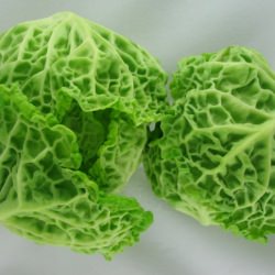 Baby Savoy Cabbage