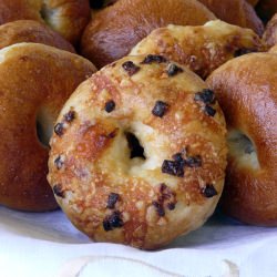 Cheddar and Onion Bagels