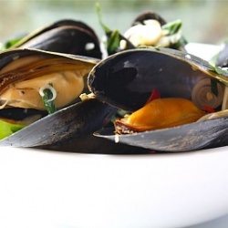 Steamed Mussels With Prosecco