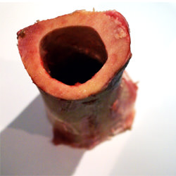Roasted Bone Marrow