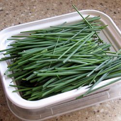 Wild Chives = Thrifty Herbs!