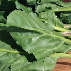 Soup of Wild Greens with Gnocchi