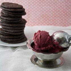 Chocolate Wafers and Frozen Yogurt