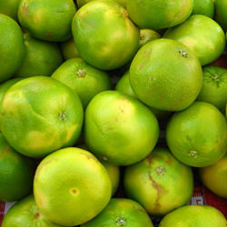 Pomelos