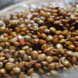 Warm Lentil Salad with Almond Oil