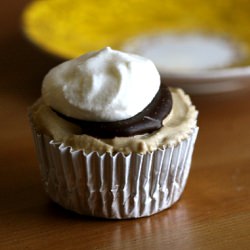 Ice Cream Cupcakes