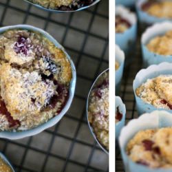 Berry Yoghurt ZOMTUFFINS