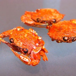 Tiny Asian Crab Snacks