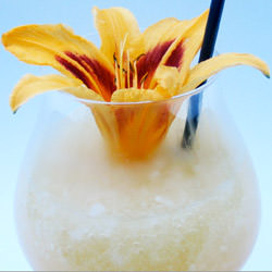 Cocktail Season in San Francisco