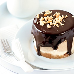 Peanut Butter & Chocolate Cheesecake