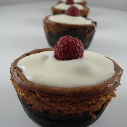 Raspberry Chocolate Cheesecakes