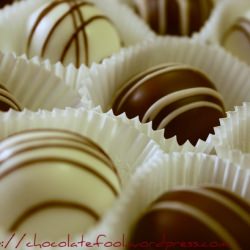 Oreo Cheesecake Truffles