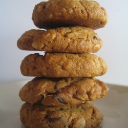 P.B. Oatmeal Chocolate Chipsters
